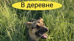 Я в деревне