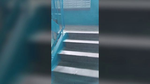 Я иду домой