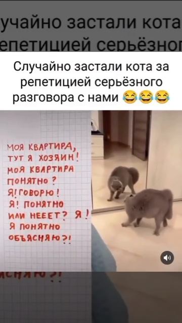 3823.mp4 смотреть онлайн