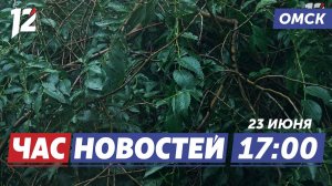 Жару сменят грозы / Топливные ограничения / Креативный бизнес. Новости Омска
