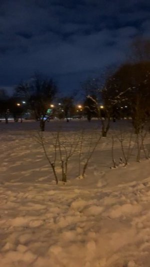 Яблоневый сад зимним вечером