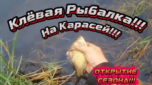 КЛЁВАЯ РЫБАЛКА на КАРАСЕЙ!!!🎣🐳