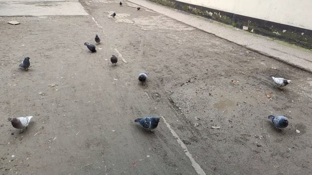 Один из дней города Евпатории | 25 февраля 2022 год | Крым ХАН БАТОН XAH 6ATOH | VID_20220225_143053