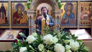 Человек царствует умом. Протоиерей Андрей Ткачёв