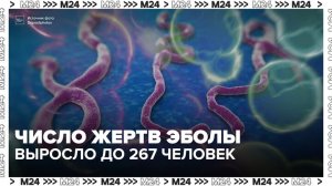 Число жертв Эболы в ДР Конго выросло до 267 человек - Москва 24
