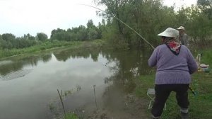 УДОЧКУ ГНЕТ У БАБУШКИ 82 года КЛЮЕТ Рыбалка на поплавок