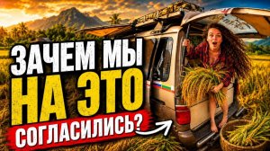 Нас отправили на рис в Лаосе! Вот как это было