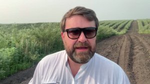 Меморандум Белокуриха
