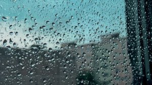 Эти летние дожди.....🌦️