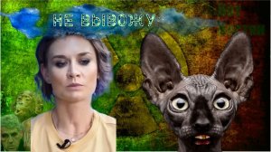 Ну что у нас за оппозиция такая? Кот Костян от 23.06.26