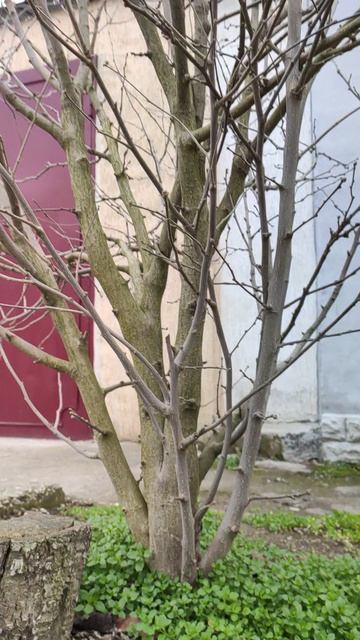 Вот такой день в городе Евпатория | 25 февраля 2022 год | Крым | ХАН БАТОН |  VID_20220225_145034