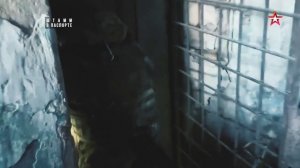 Штамм в паспорте