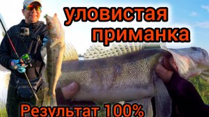 СПИННИНГ с БЕРЕГА. ЛОВЛЯ СУДАКОВ ЛЕТОМ.