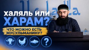 Какие животные ДОЗВОЛЕНЫ к употреблению — шейх Абдуррахман