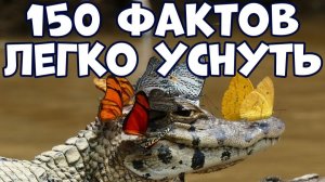 150 УДИВИТЕЛЬНЫХ ФАКТОВ, ПОД КОТОРЫЕ ЛЕГКО УСНУТЬ