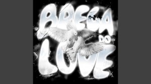 BREGA DO LOVE