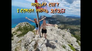 НовыйСвет2026г.Сокол