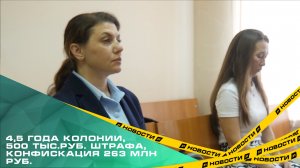 4,5 года колонии, 500 тыс.руб. штрафа, конфискация 263 млн руб.