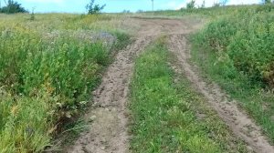 «Решил пройтись — и вот куда иду»