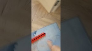 1000000732.mp4