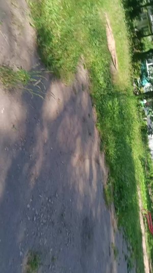 гулянка