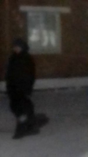 Чёрный кабанчик Семёнчик
