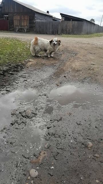 деревня, смотреть онлайн