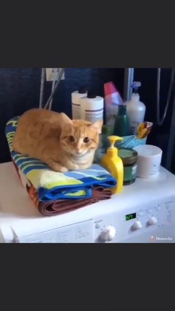 Чтобы машинка не ездила смотреть онлайн