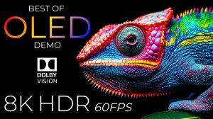 Лучшее из демо OLED HDR 8K Ultra HD Dolby Vision™ 60 кадров в секунду