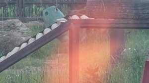 BWSZ3301_22.06.2026_Видео от Светланы
