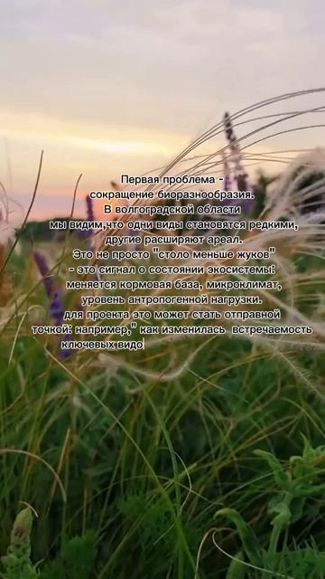 Мартынов практика ТЦО