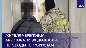Жителя Череповца арестовали за денежные переводы террористам
