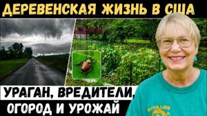 Деревенская жизнь в США. Ураган, вредители, огород и урожай. Японский жук, земляные клопы, сурки.