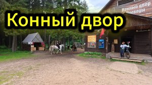 «Экскурсия по конному двору: знакомство с лошадьми и другими обитателями»