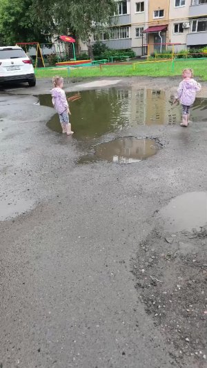 Близнецы в луже