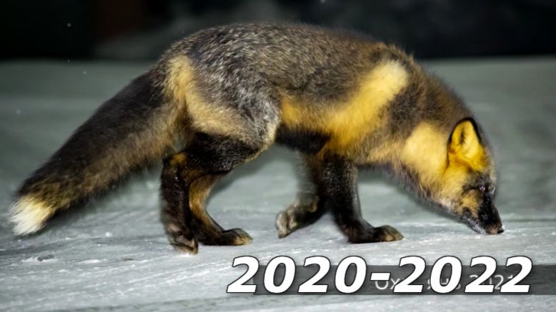 Оха Сахалин 2020 2022 Okha Sakhalin смотреть онлайн