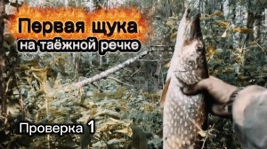 Первая щука на этой речке! Жерлица
