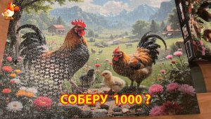 Пазл на 1000 деталей с курочками собираю большую картину по кусочкам