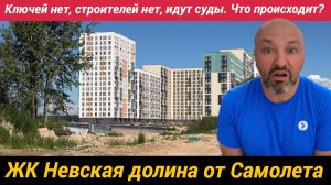 ЖК Невская долина от Самолет Новосаратовка Ключей нет, строителей нет, идут суды. Что происходит?