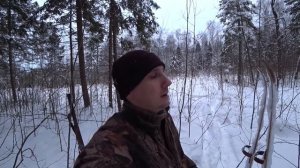 Зимняя Охота с подхода. На Лыжах в Лес. Тетеревиный угол.