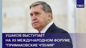 Ушаков выступает на XII международном форуме «Примаковские чтения»