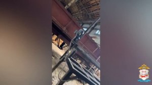 На лесопилке в Чамзинском районе Мордовии правоохранители выявили 12 нелегальных мигрантов