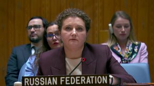 Российские представители в ООН ответили на обвинения в ударе по Киево-Печерской лавре.