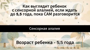 Как выглядит ребенок с сенсорной алалией, если ждать до 5,5 года, пока САМ разговорится.