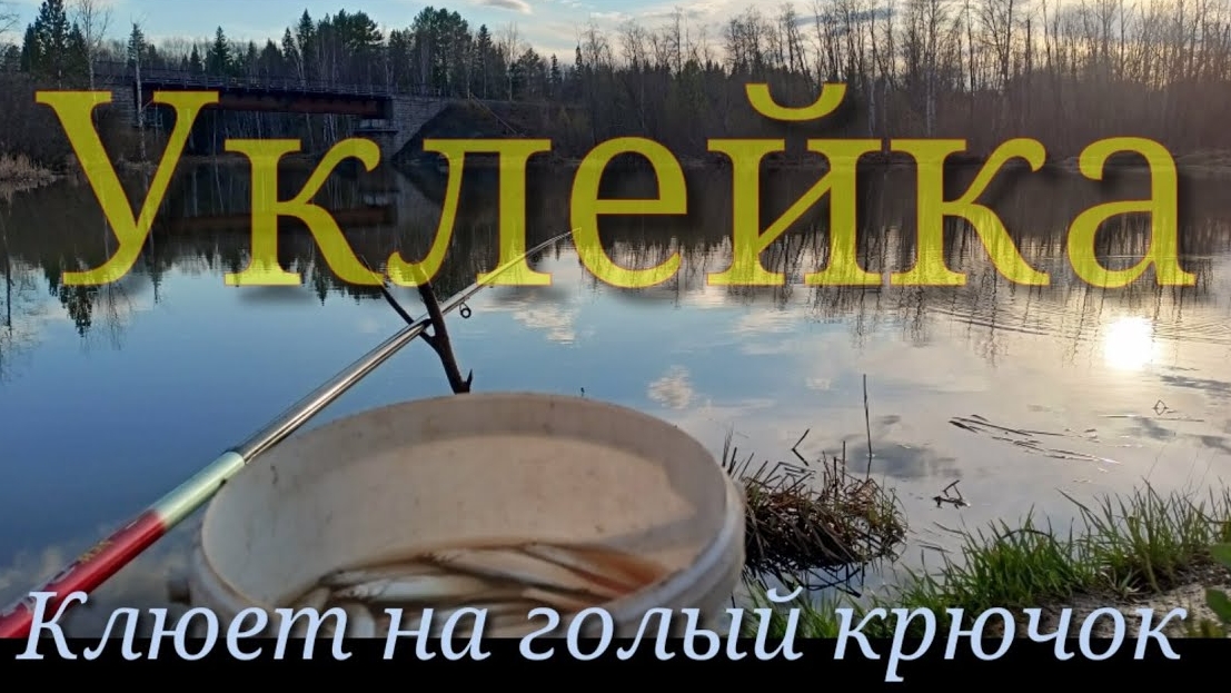 Не успевали Удочку опускать,она Кидалась на крючок!!!Рыбалка на реке смотреть онлайн