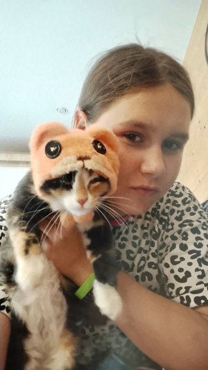 автомат с игрушками пишите мне игрушку и я прокручу