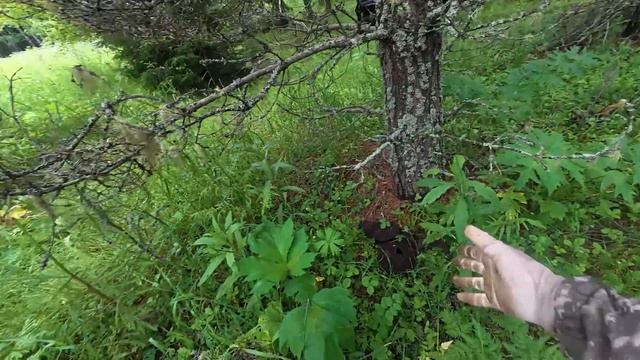 ВЕРНУЛСЯ В ЗАБРОШЕННЫЕ МЕСТА СПУСТЯ ВРЕМЯ