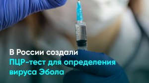 В России создали ПЦР-тест для определения вируса Эбола