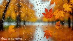 Звук дождя и раскаты грома.
