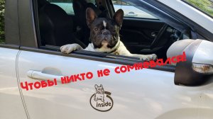 виниловая наклейка на автомобиль - клеим за 5 минут